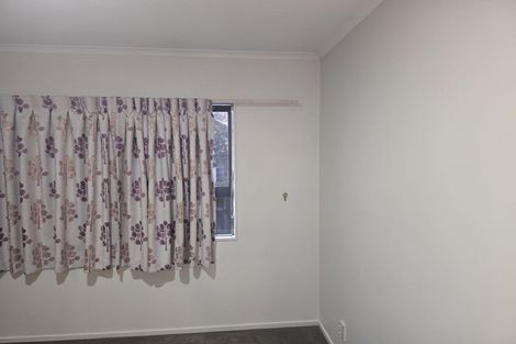 Photo of property in 3 Griffen Park Road, Mount Roskill, Auckland, 1041