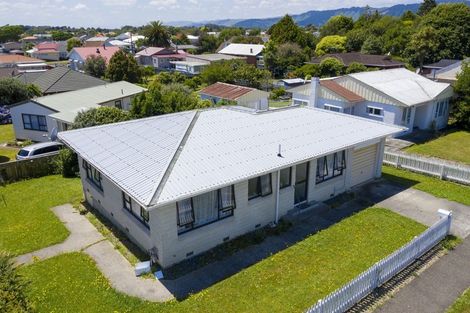 Photo of property in 147 Bath Street, Levin, 5510