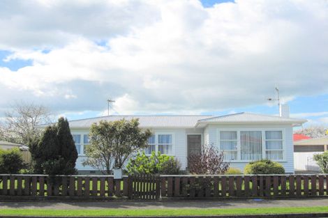 Photo of property in 11 Braemar Street, Levin, 5510