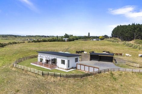 Photo of property in 1121 Parewanui Road, Parewanui, 4894