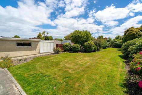 Photo of property in 39 Oakland Street, Andersons Bay, Dunedin, 9013