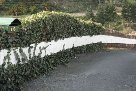 Photo of property in 18 Rees Street, Durie Hill, Whanganui, 4500