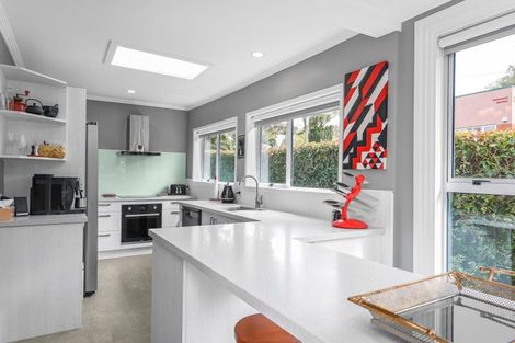 Photo of property in 45 Littlebourne Road, Roslyn, Dunedin, 9010