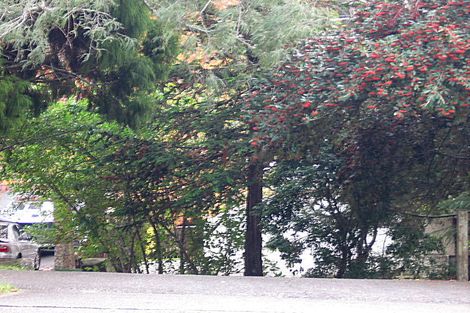 Photo of property in 460 Stokes Valley Road, Stokes Valley, Lower Hutt, 5019