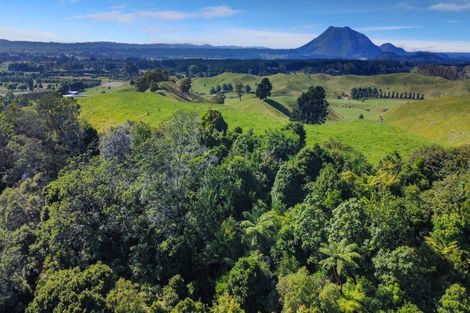 Photo of property in 109 Mcivor Road, Rotoma, Whakatane, 3192