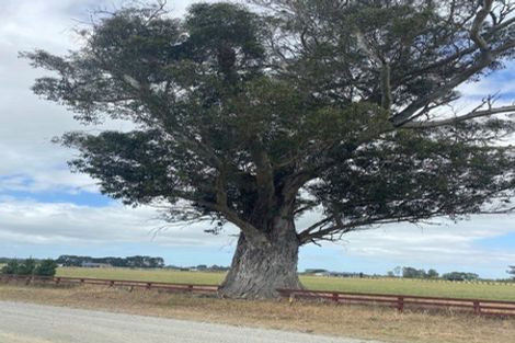Photo of property in 158 Ashbys Road, Sefton, 7481