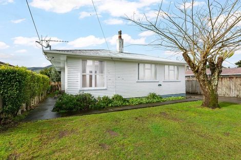 Photo of property in 7 Buchanan Street, Paeroa, 3600