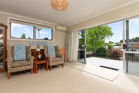 Photo of property in 12 Patrick Place, Fitzroy, Hamilton, 3206