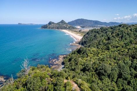 Photo of property in 160 Pumpkin Hill Road, Pumpkin Hill, Whitianga, 3591