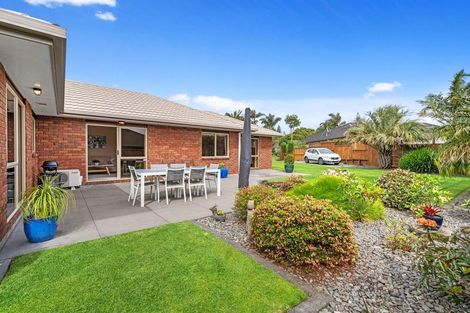 Photo of property in 28 Redhaven Place, Bethlehem, Tauranga, 3110