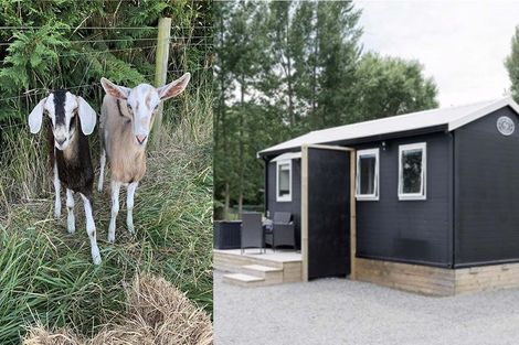 Photo of property in 340 Perymans Road, Lincoln, Christchurch, 7672