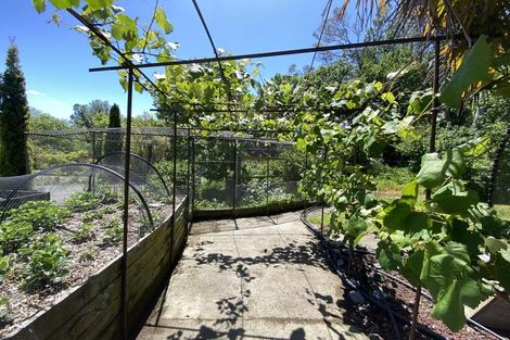 Photo of property in 490 Bluff Rangitumau Road, Rangitumau, Masterton, 5871