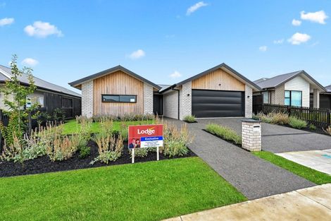 Photo of property in 16 Harp Street, Morrinsville, 3300
