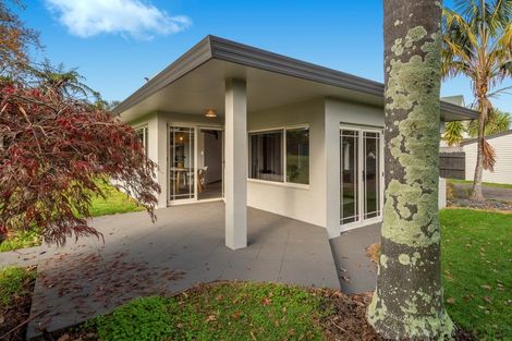 Photo of property in 62a Grange Road, Otumoetai, Tauranga, 3110