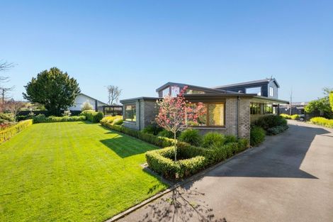 Photo of property in 43 Severne Street, Yelverton, Blenheim, 7201