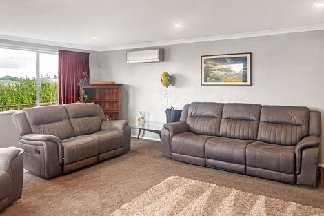 Photo of property in 30 Pirinoa Street, Feilding, 4702