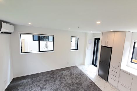 Photo of property in 3/41 Gracefield Avenue, Christchurch Central, Christchurch, 8013