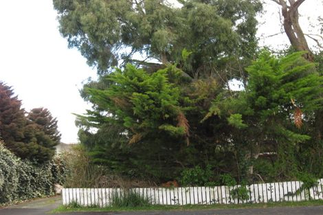 Photo of property in 515 Manchester Street, St Albans, Christchurch, 8014