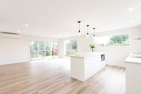 Photo of property in 44 Auskerry Street, Palmerston, 9430