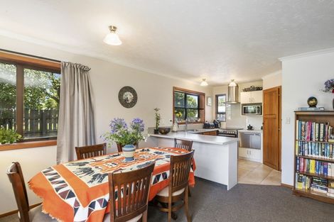 Photo of property in 9a Burden Street, Redwoodtown, Blenheim, 7201