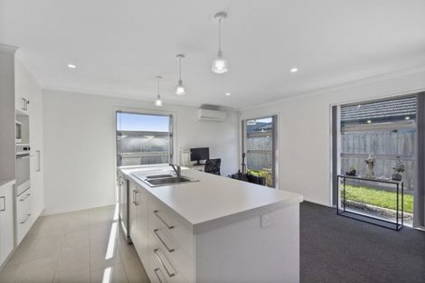Photo of property in 58 Edgeview Crescent, Fitzroy, Hamilton, 3206