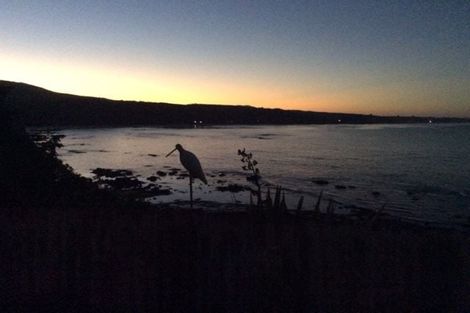 Photo of property in 67 Shag Point Road, Shag Point, Palmerston, 9482