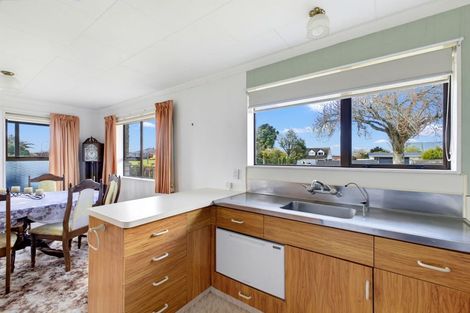 Photo of property in 45 Portia Street, Stratford, 4332