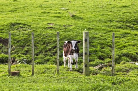 Photo of property in 52 Denby Road, Hawera, 4672