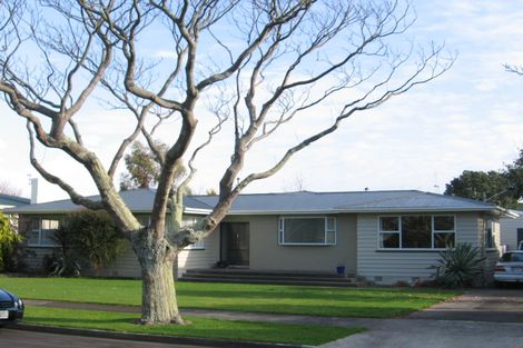 Photo of property in 6 Squires Place, Awapuni, Palmerston North, 4412