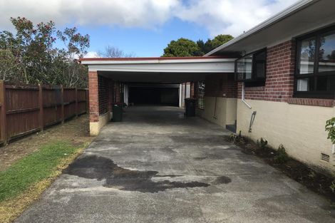Photo of property in 20 Puhinui Road, Manukau, Auckland, 2104