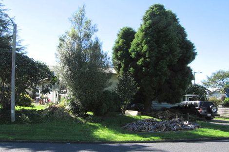 Photo of property in 16 Ruru Crescent, Putaruru, 3411