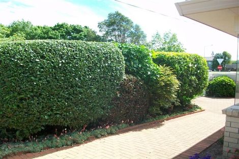 Photo of property in 59a Ngatai Road, Otumoetai, Tauranga, 3110