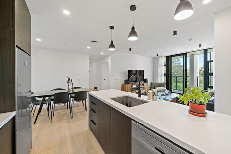 Photo of property in 202/8 Kingsland Terrace, Kingsland, Auckland, 1021