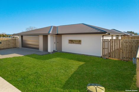 Photo of property in 34 Herringbone Street, Appleby, Richmond, 7020