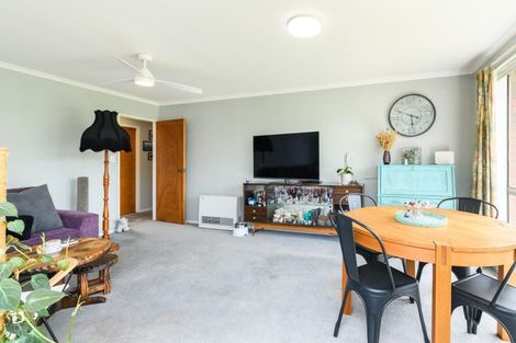 Photo of property in Blair Grove, 3/370 Tremaine Avenue, Takaro, Palmerston North, 4412