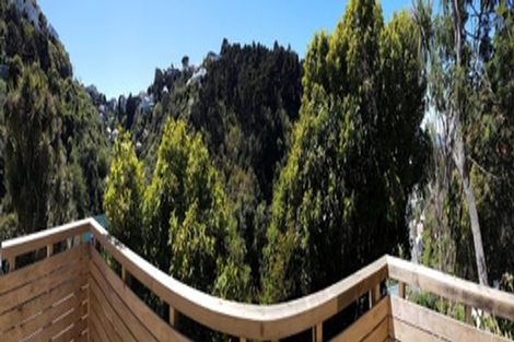 Photo of property in 151 Raroa Road, Aro Valley, Wellington, 6012