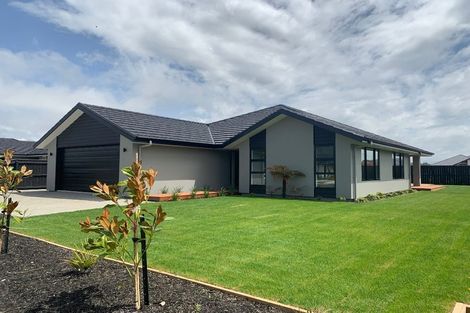 Photo of property in 36 Berryfield Drive, Richmond, 7020