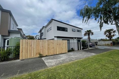 Photo of property in 14a Ropata Avenue, Point England, Auckland, 1072