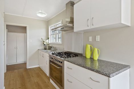 Photo of property in 15 Thomson Avenue, Dinsdale, Hamilton, 3204