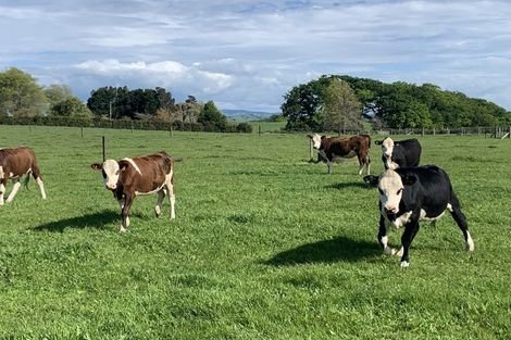 Photo of property in 418 Mangateparu Loop Road, Mangateparu, Morrinsville, 3375