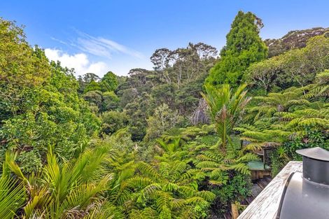 Photo of property in 24 Punga Place, Whitianga, 3510