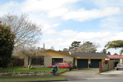 Photo of property in 20 Montjoy Street, Stratford, 4332