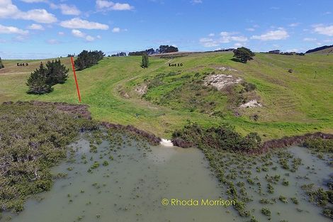 Photo of property in 1 Matahehe Lane, Tinopai, 0593