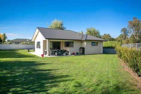 Photo of property in 41 Rata Street, Matamata, 3400