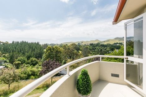 Photo of property in 47 Hikanui Drive, Havelock North, 4130