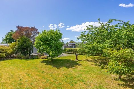 Photo of property in 30 Stout Street, Masterton, 5810