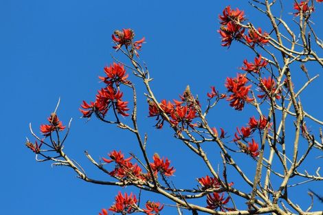 Photo of property in 1170 Cove Road, Langs Beach, Waipu, 0582