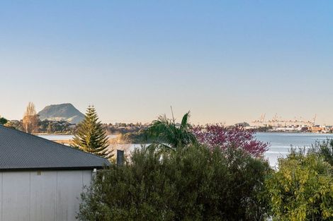 Photo of property in 52 Churchill Road, Judea, Tauranga, 3110