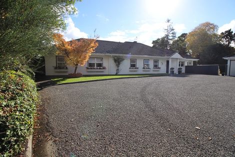 Photo of property in 8 Skerman Street, Marton, 4710