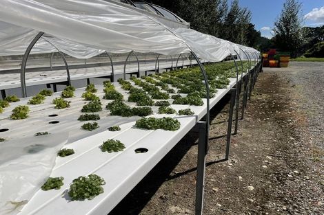 Photo of property in 9 Karapiro Road, Karapiro, Cambridge, 3496